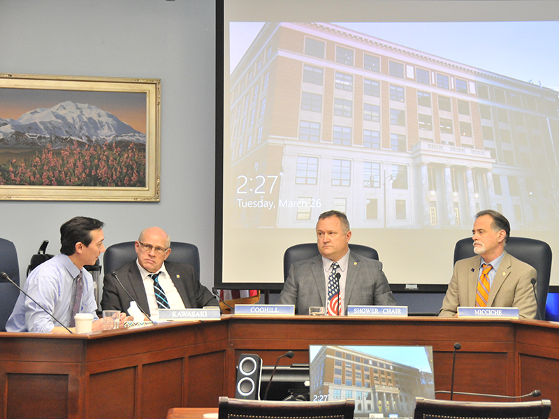 Senator Kawasaki speaks to the committee after listening to a presentation by the Office of Management and Budget