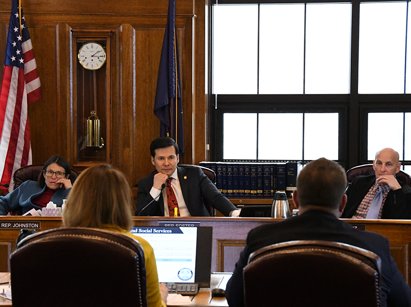 The House Finance Committee listens to a presentation on the Dept. of Health & Social Services budget